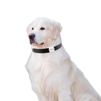 Pet GPS Locator Collar Tracking Device